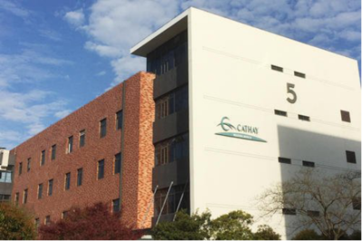 生物新材料項目 生物基材料銷售的市場機遇與實施路徑