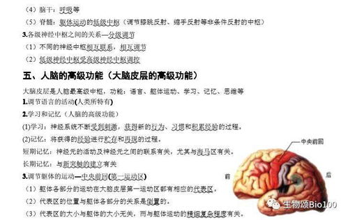 期末沖刺 高中生物必修三基礎(chǔ)知識(shí)點(diǎn)匯總，考前必看